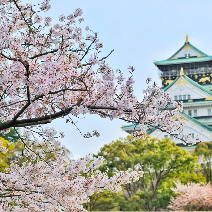 JAPONIA de la Nord la Sud, cu Andrei Neagu